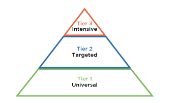 MTSS Triangle