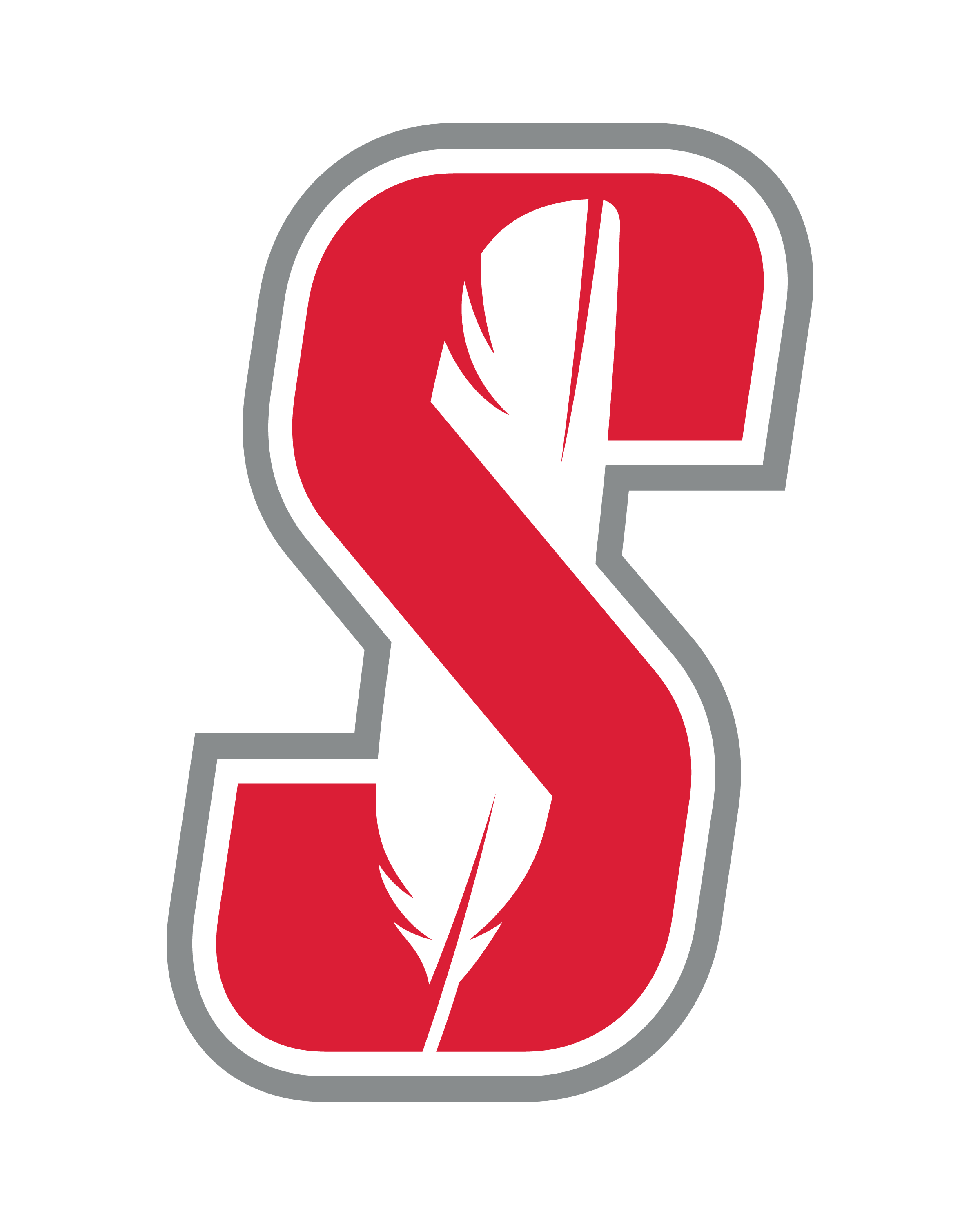 S Salamanca Logo with feather