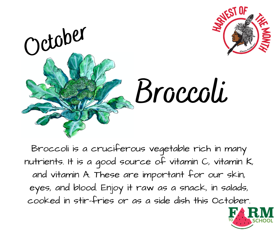 HOM Broccoli