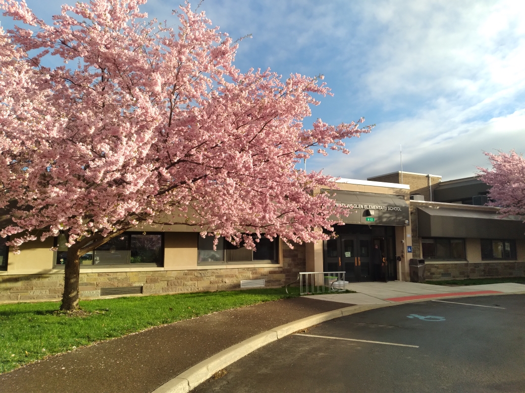 Welcome to WGES!
