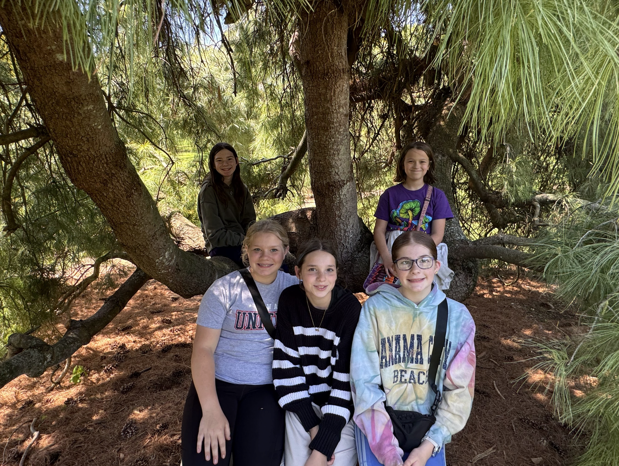 26 6th field trip