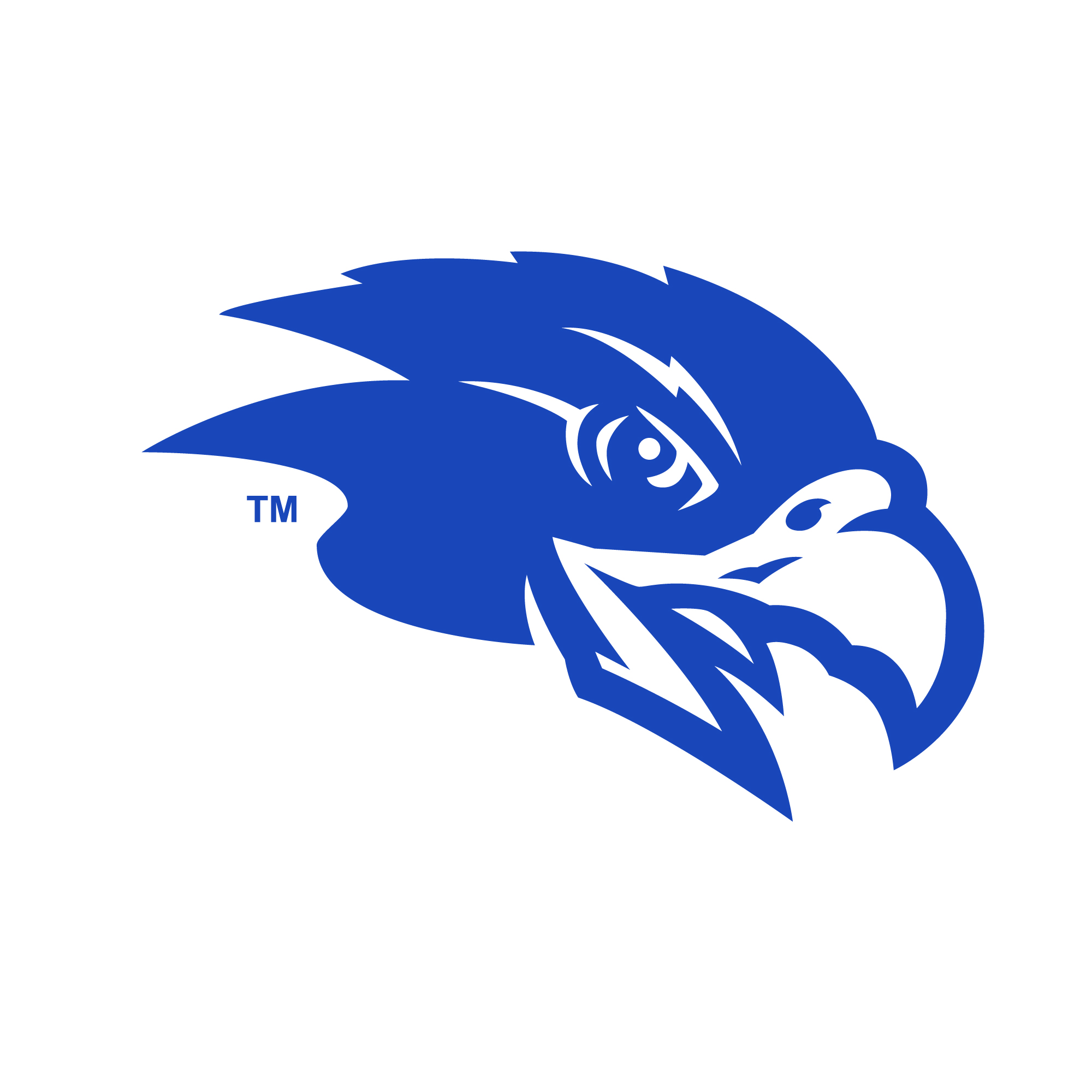Falcon head logo