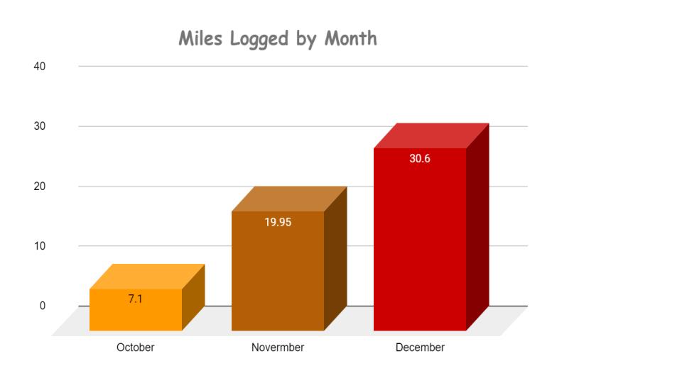 Monthly Chart of Progress