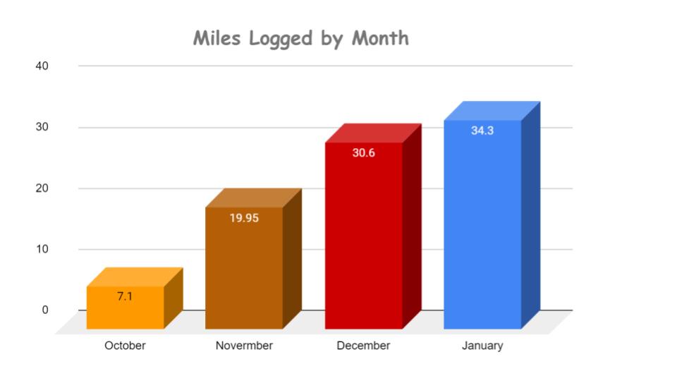 January Walking Progress Chart