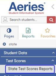 State Test Scores Report