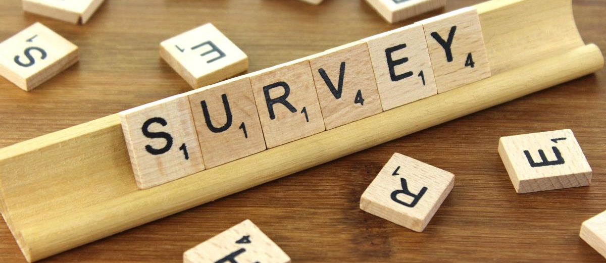 Survey