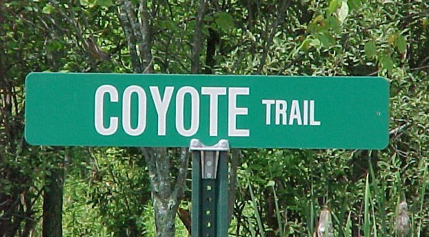 Coyote Trail