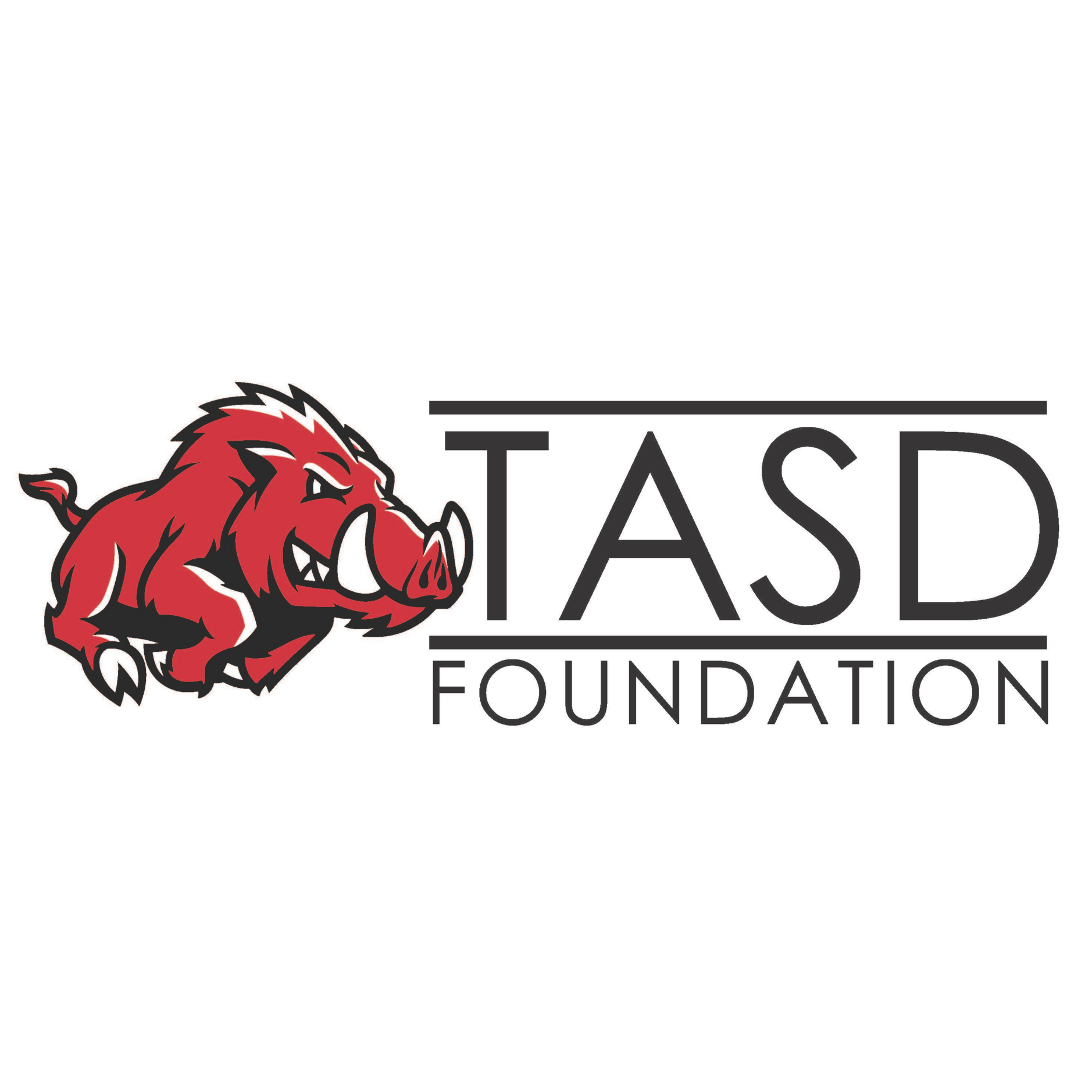 TASD Foundation and link to info about the foundation