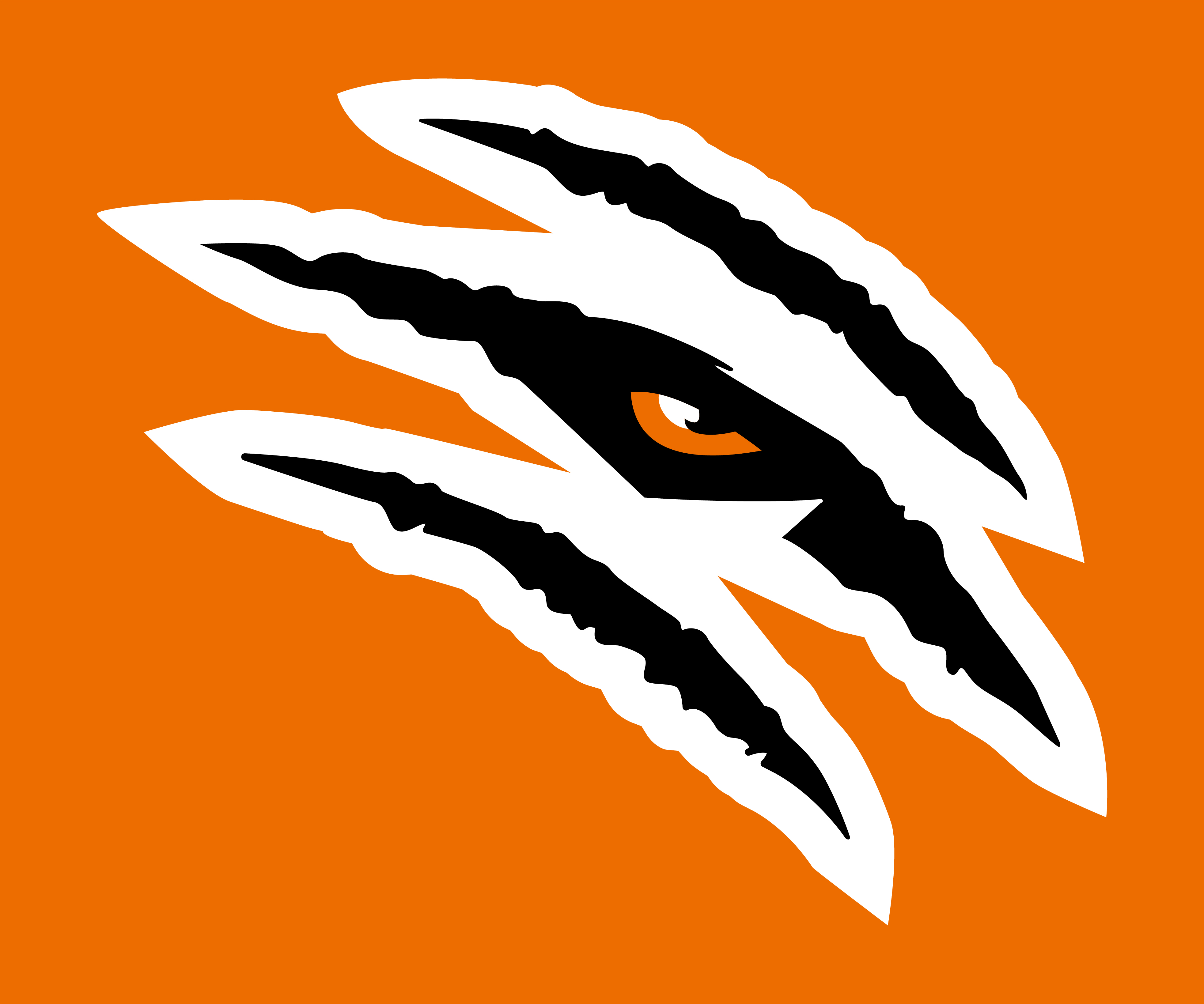 Tiger Eye with Scratch Logo