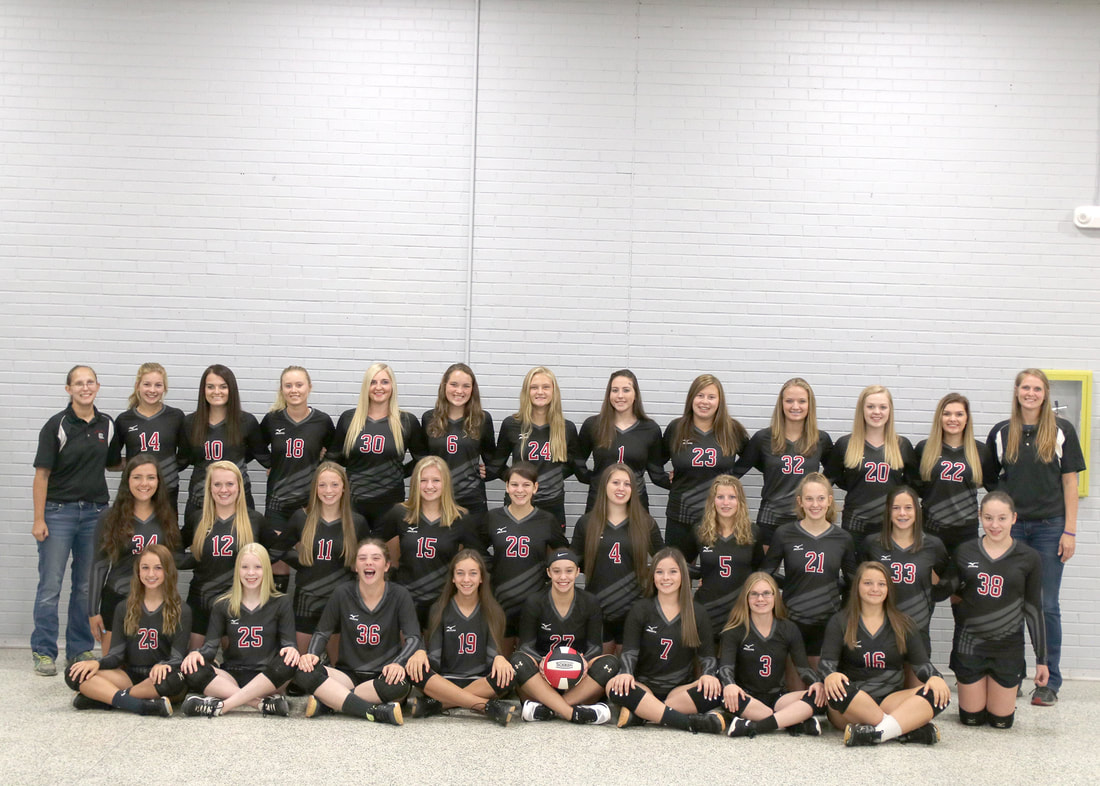 Photo of the HIGH SCHOOL VOLLEYBALL team.