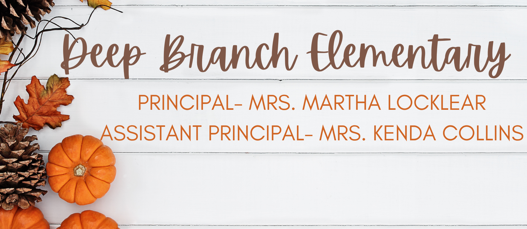 Deep Branch Elementary