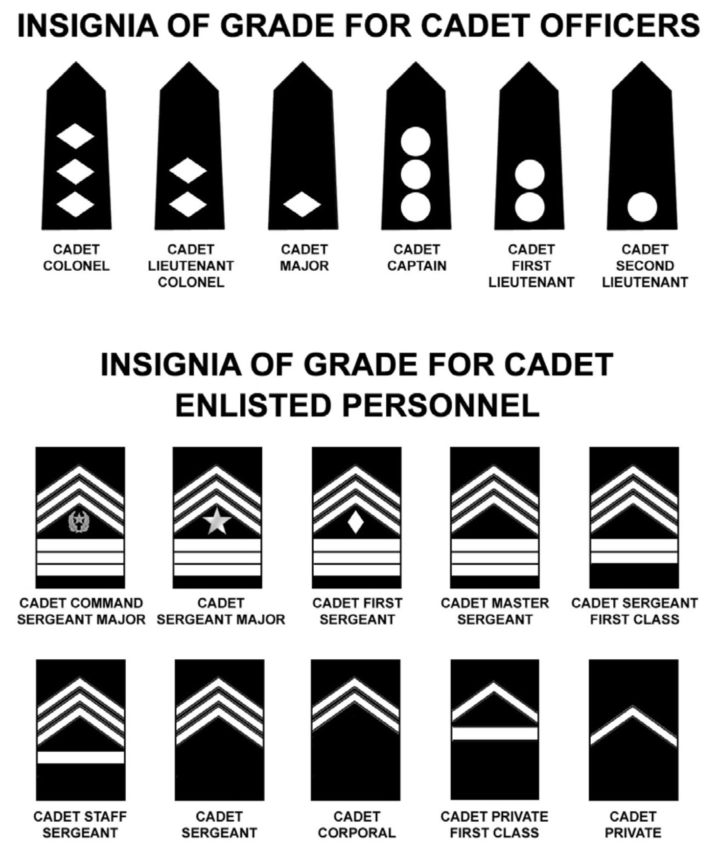 Cadet Ranks image