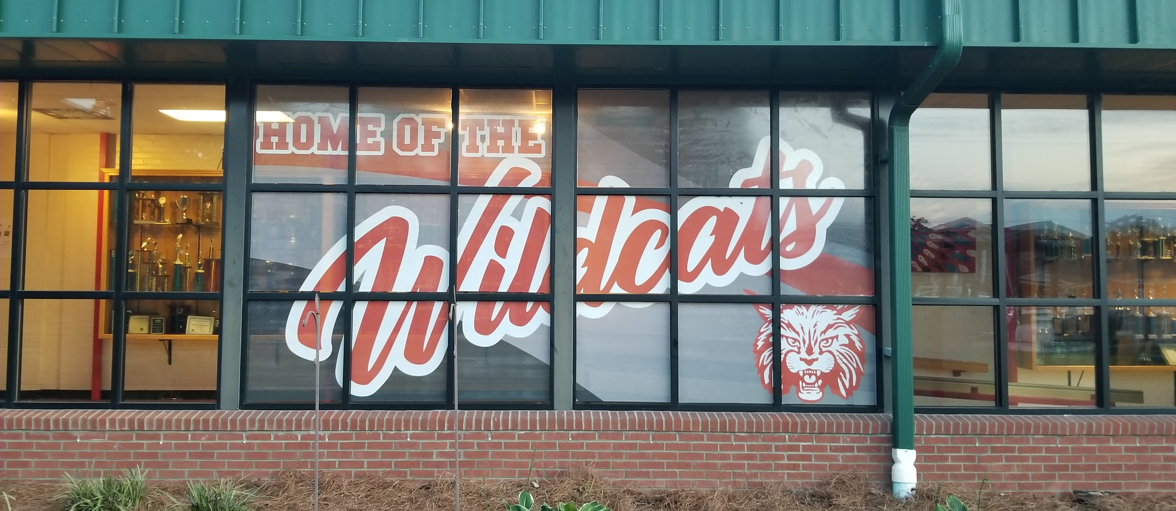 Wildcat window