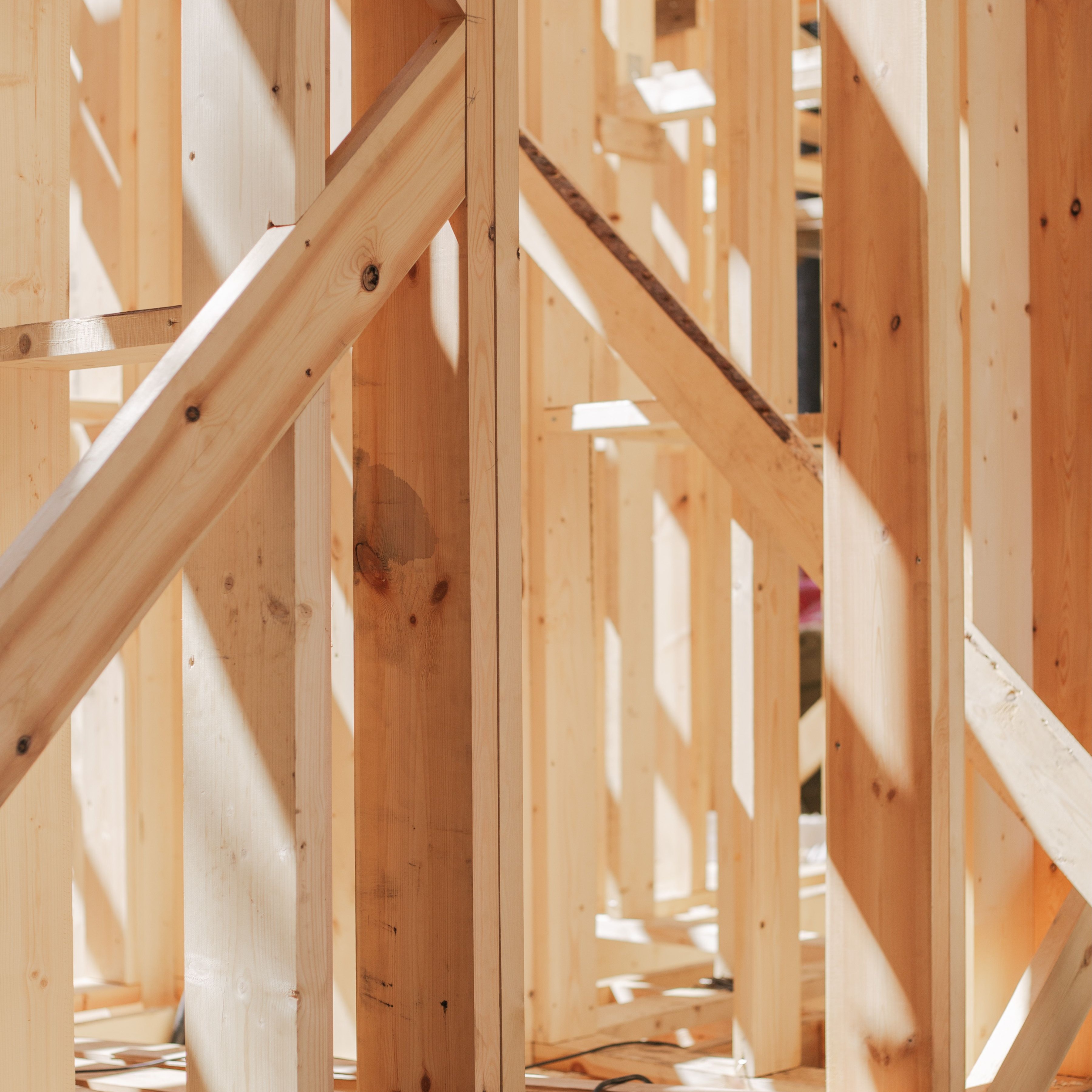 Close-up of wooden beams and framework in construction site, bathed in sunlight.