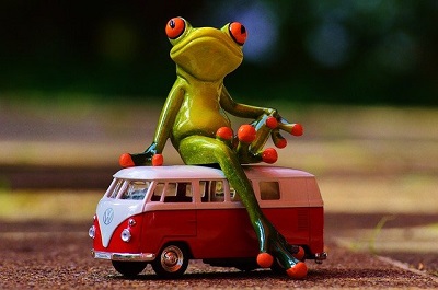 Frog sitting on a car