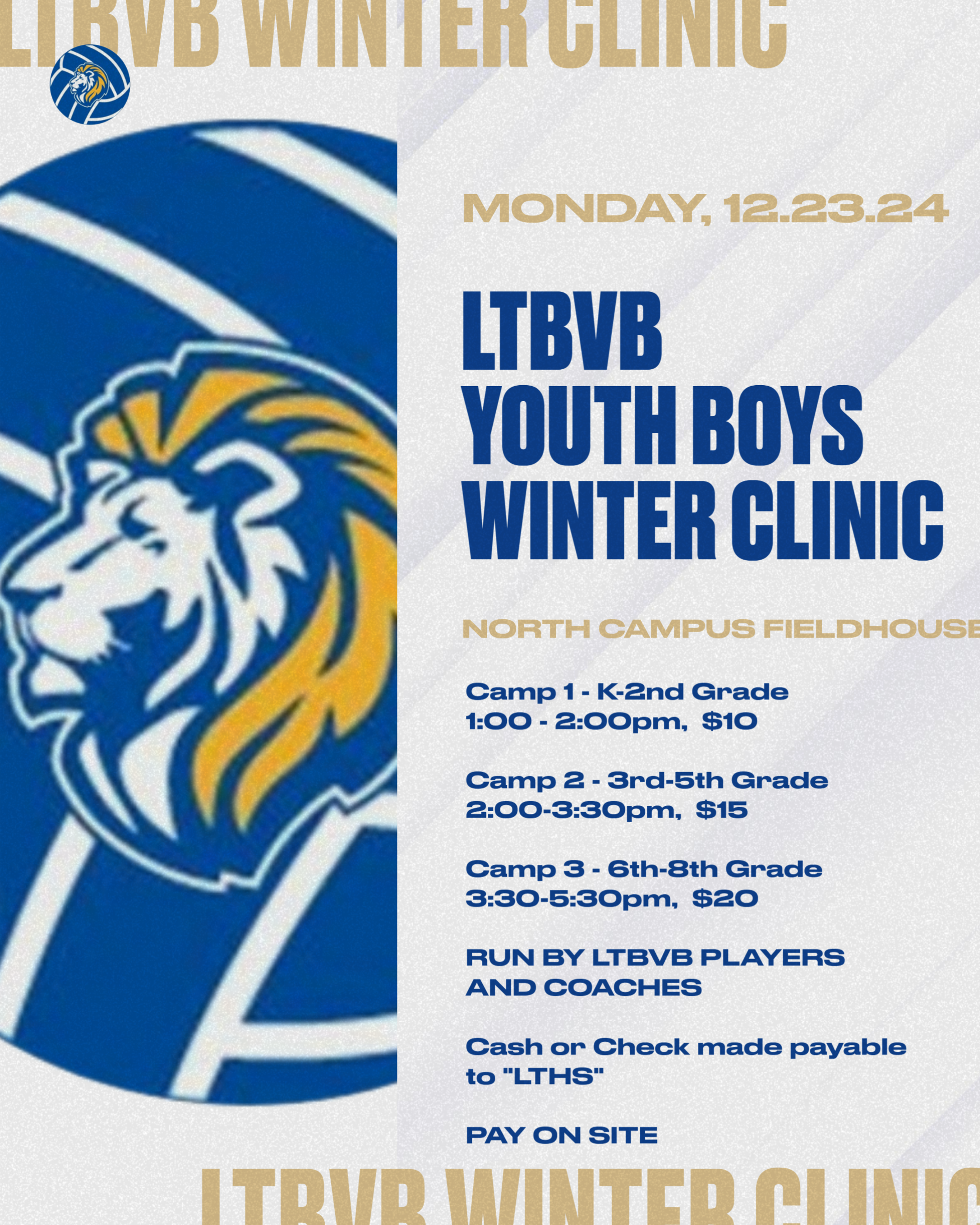 Youth Boys Volleyball Clinic