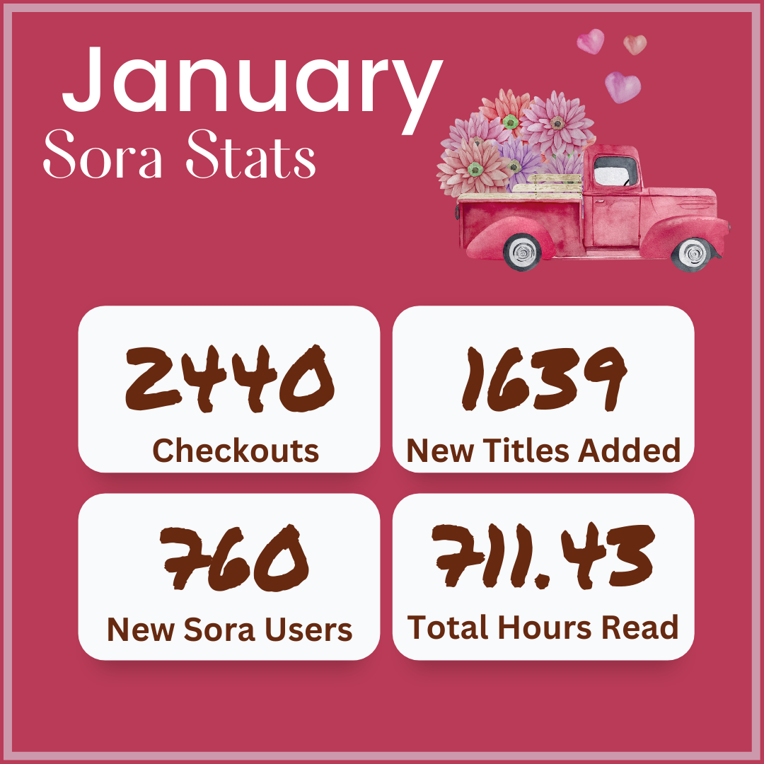 Sora Stats