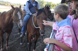 A photo of a kid touching a horse.
