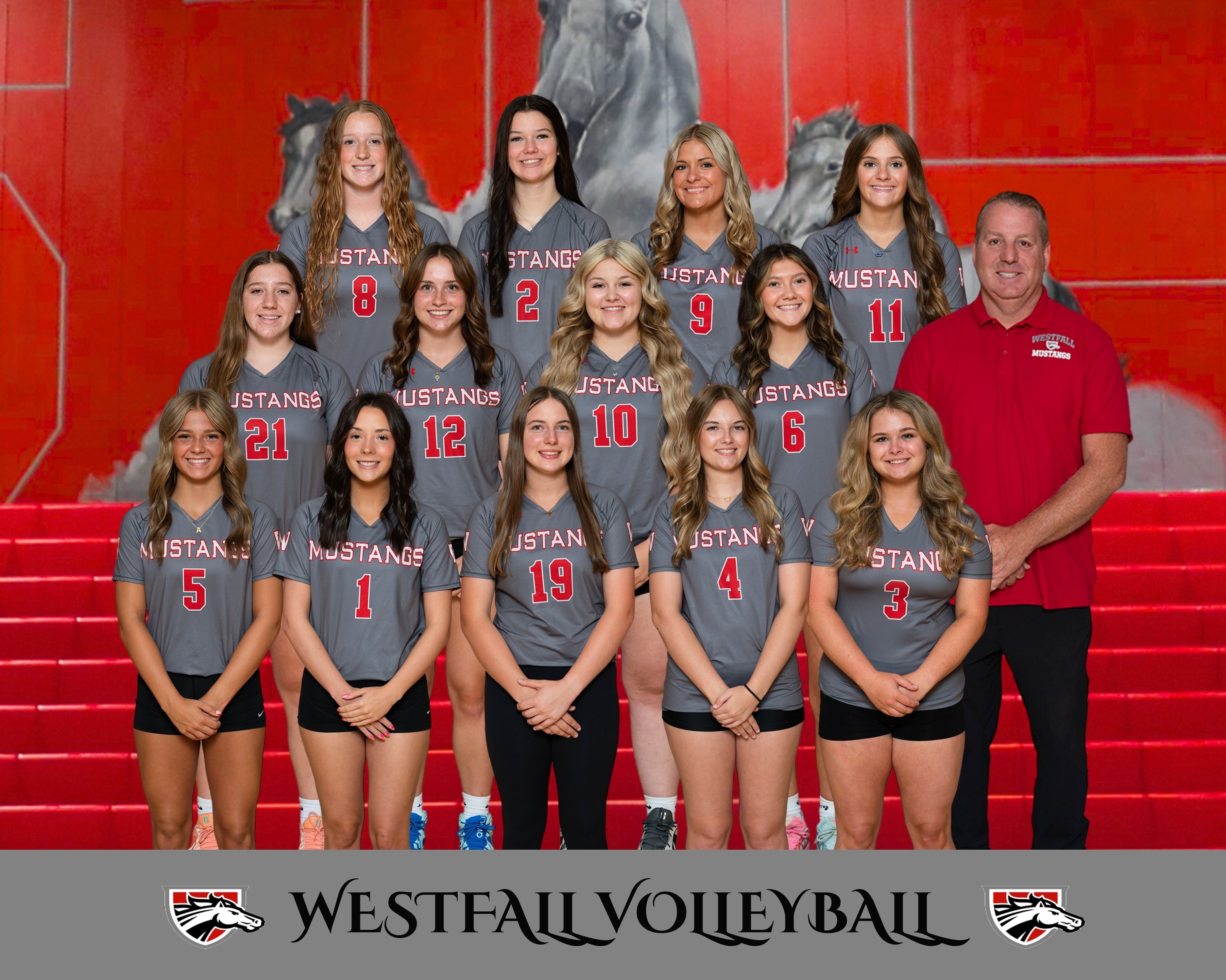 Volleyball