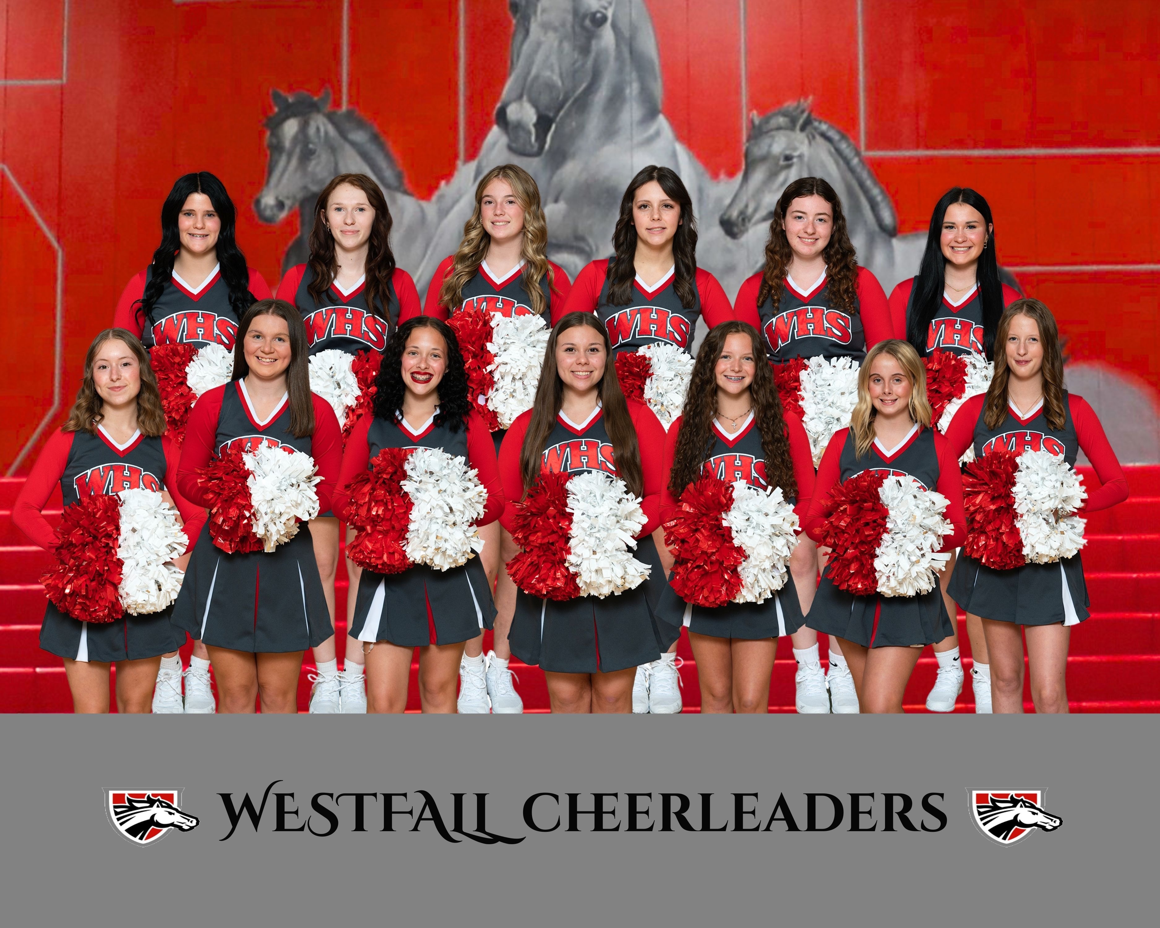 Football Cheerleaders