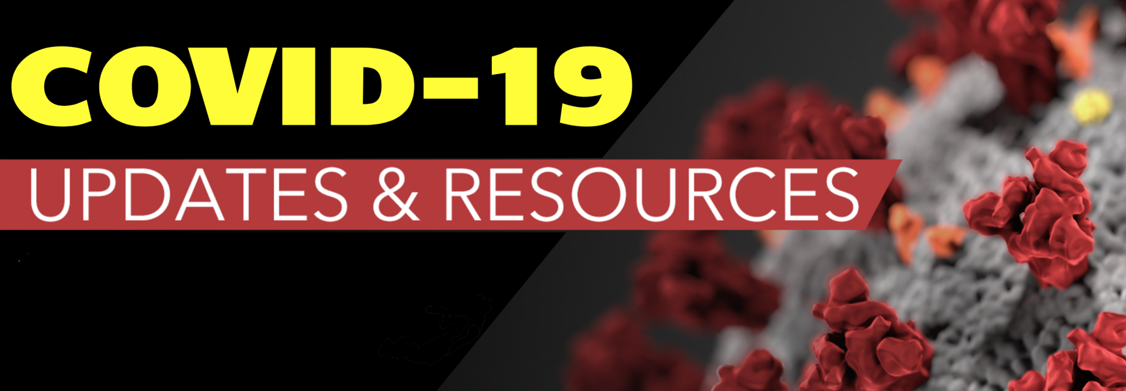 Covid 19 updates and resources logo