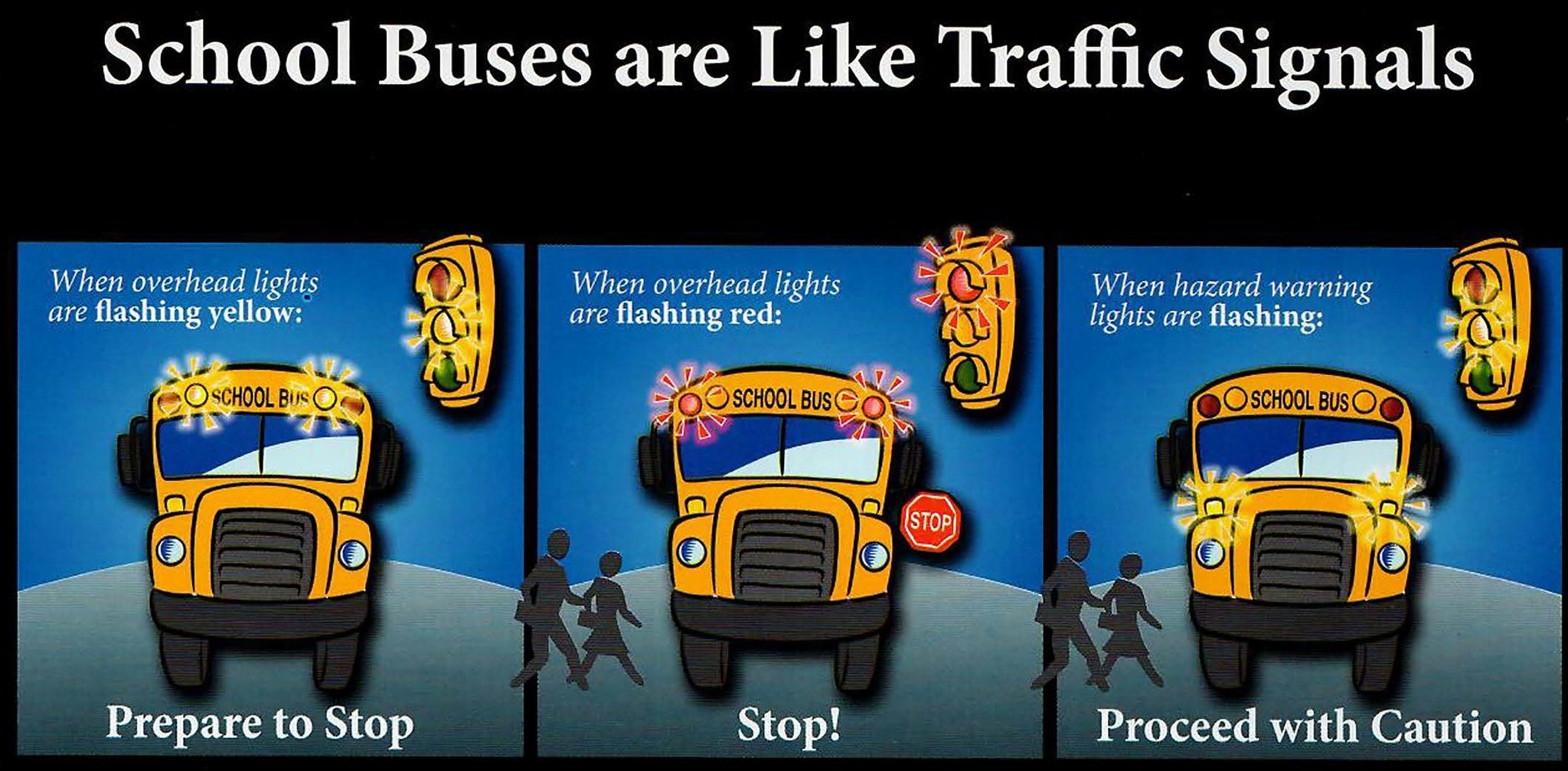 School Busses are Like Traffic Signals Infographic