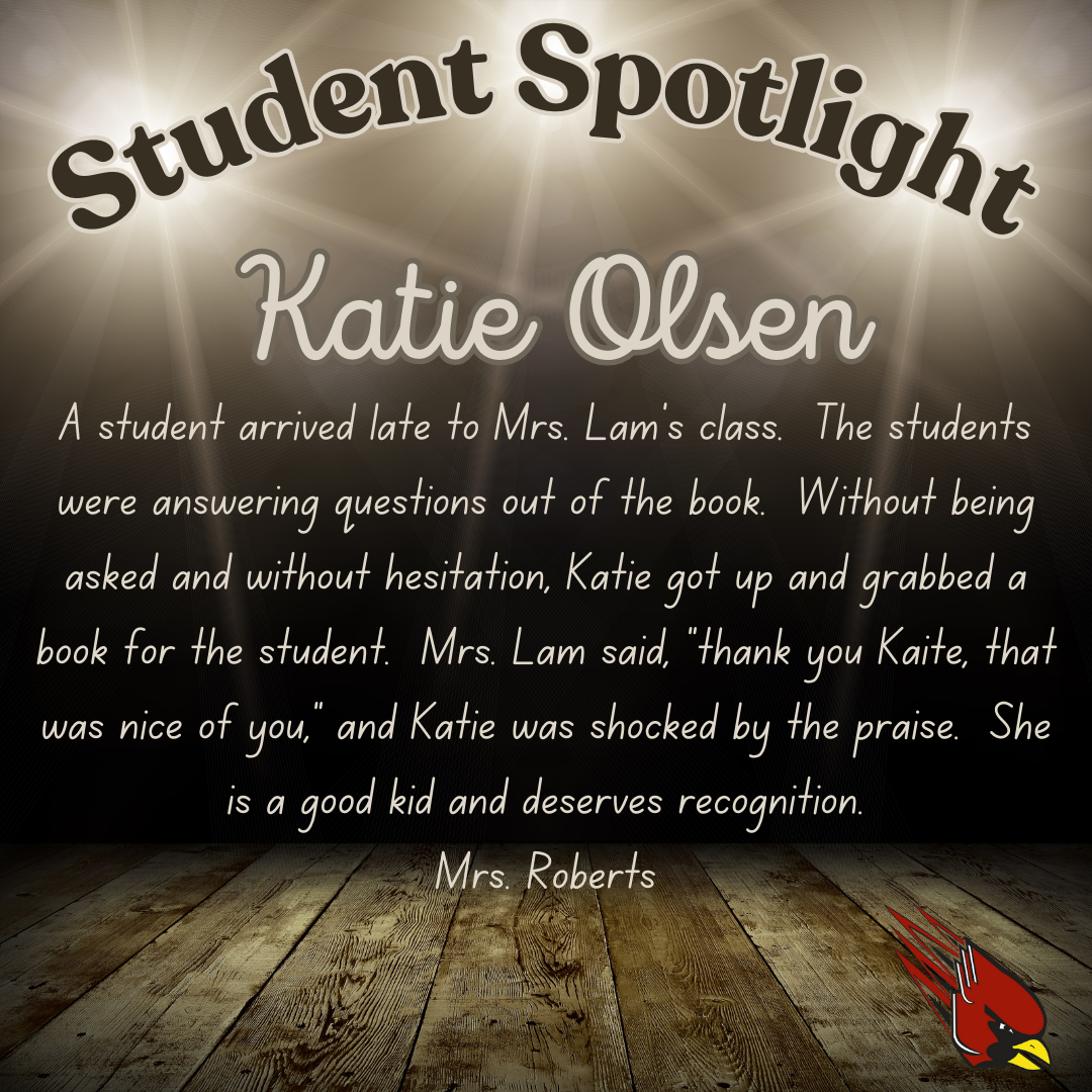 Spotlight - Katie Olsen