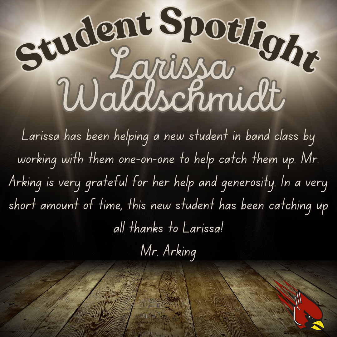 Spotlight - Larissa Waldschmidt