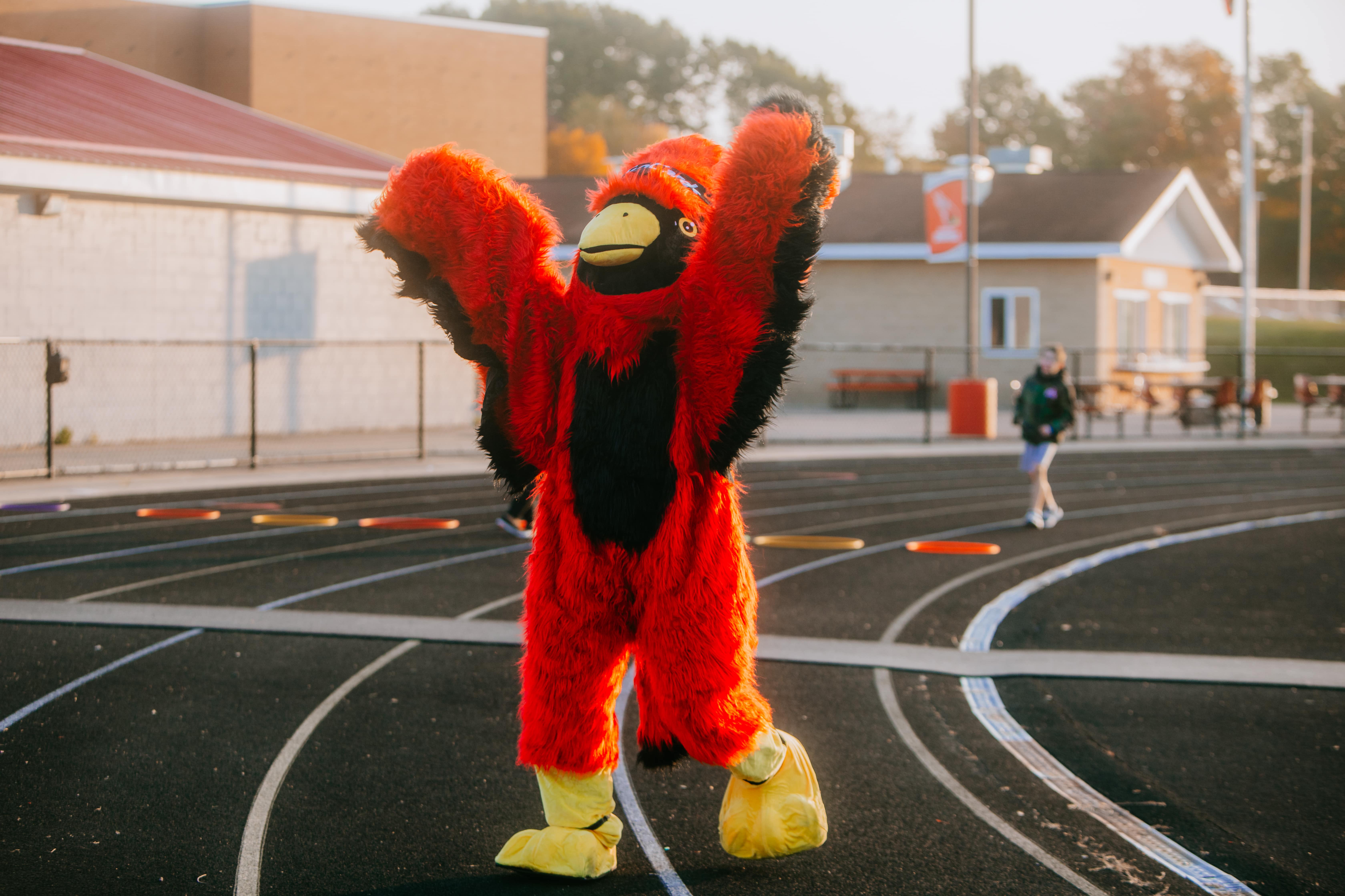 cardinal mascot celebrating on running track