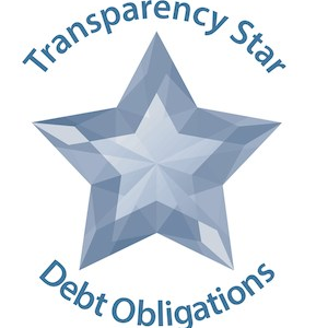 Transparency Star - Debt Obligations