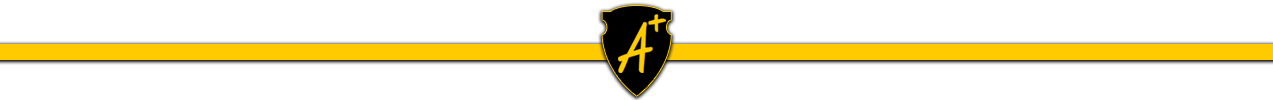 a plus logo with shield