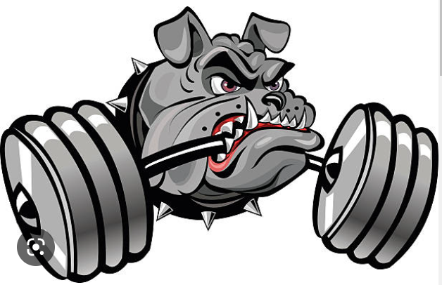 bulldog lifting weights