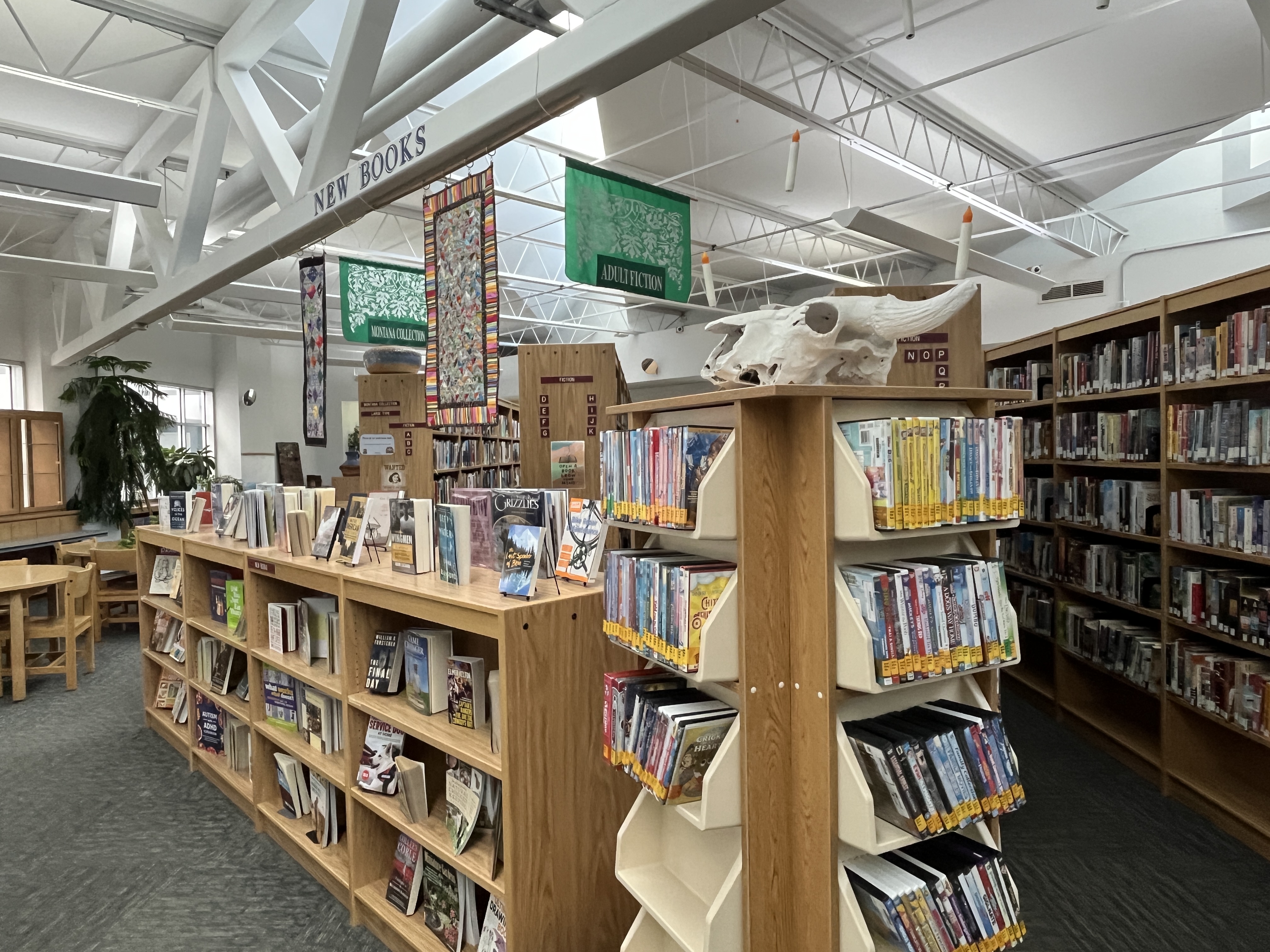 bookshelves