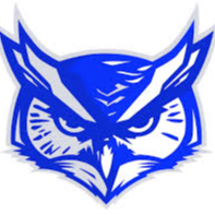 Owl logo