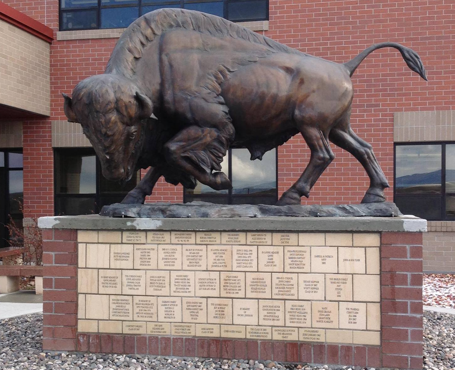 Buffalo