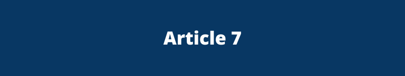 Article 7