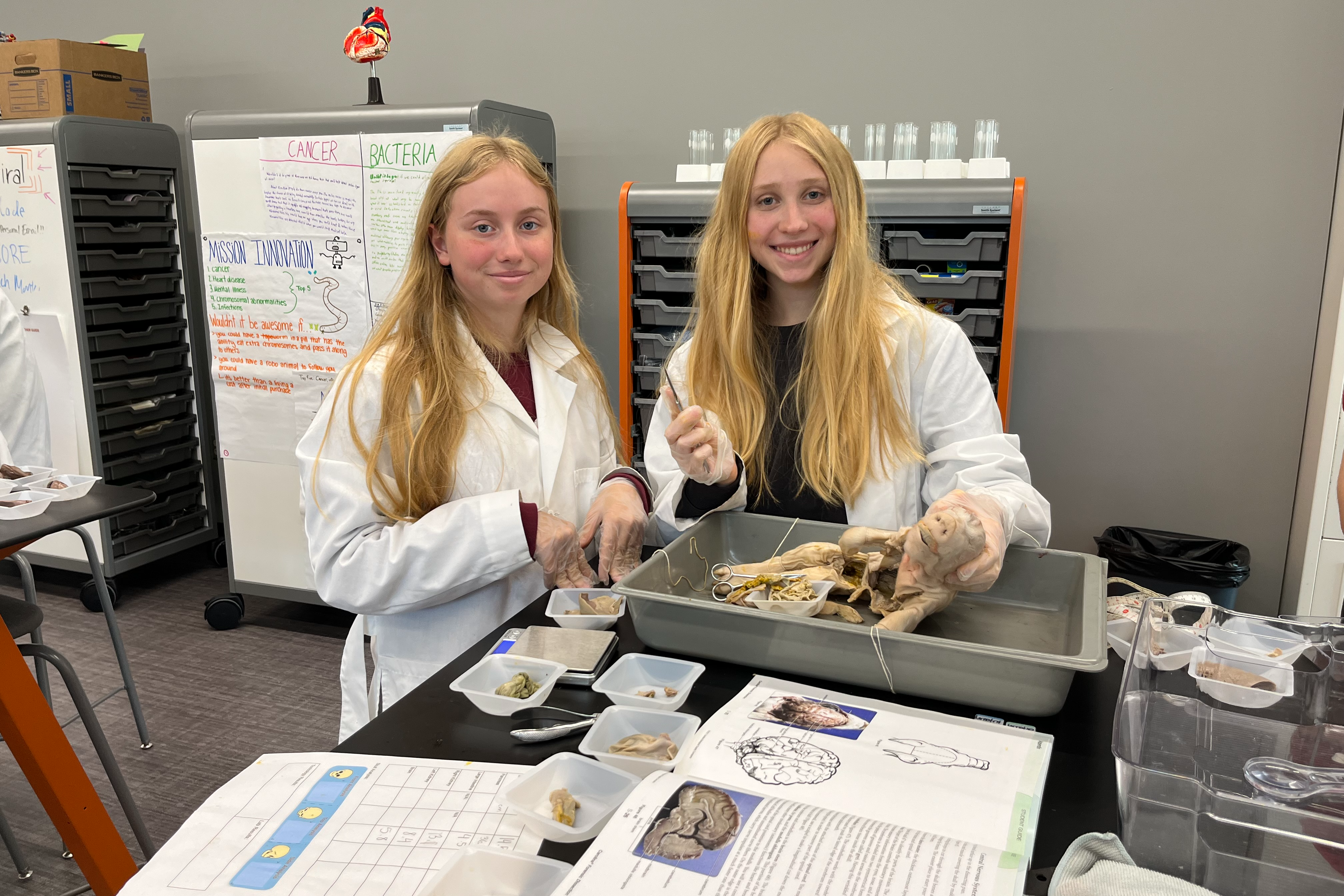Health Sciences Program students work together on a dissection 