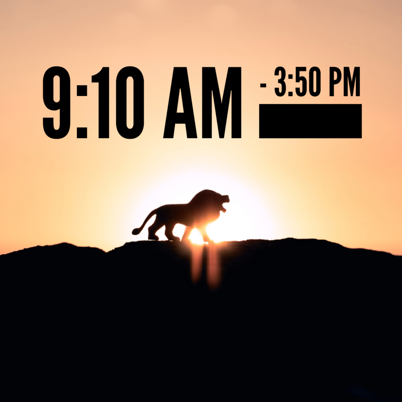 Lion with sunrise in the background with writing, "9:10 AM - 3:50 PM"