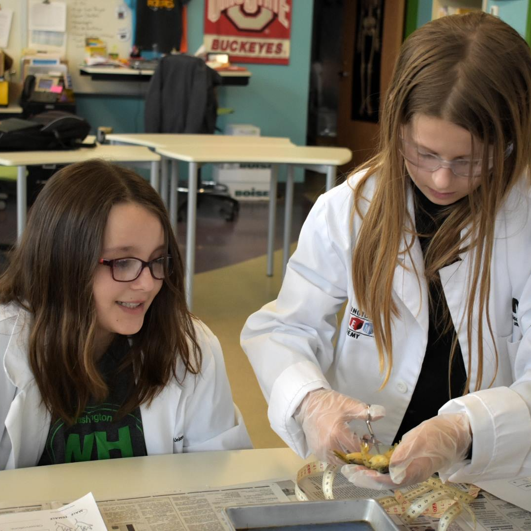 Two students dissecting a frog