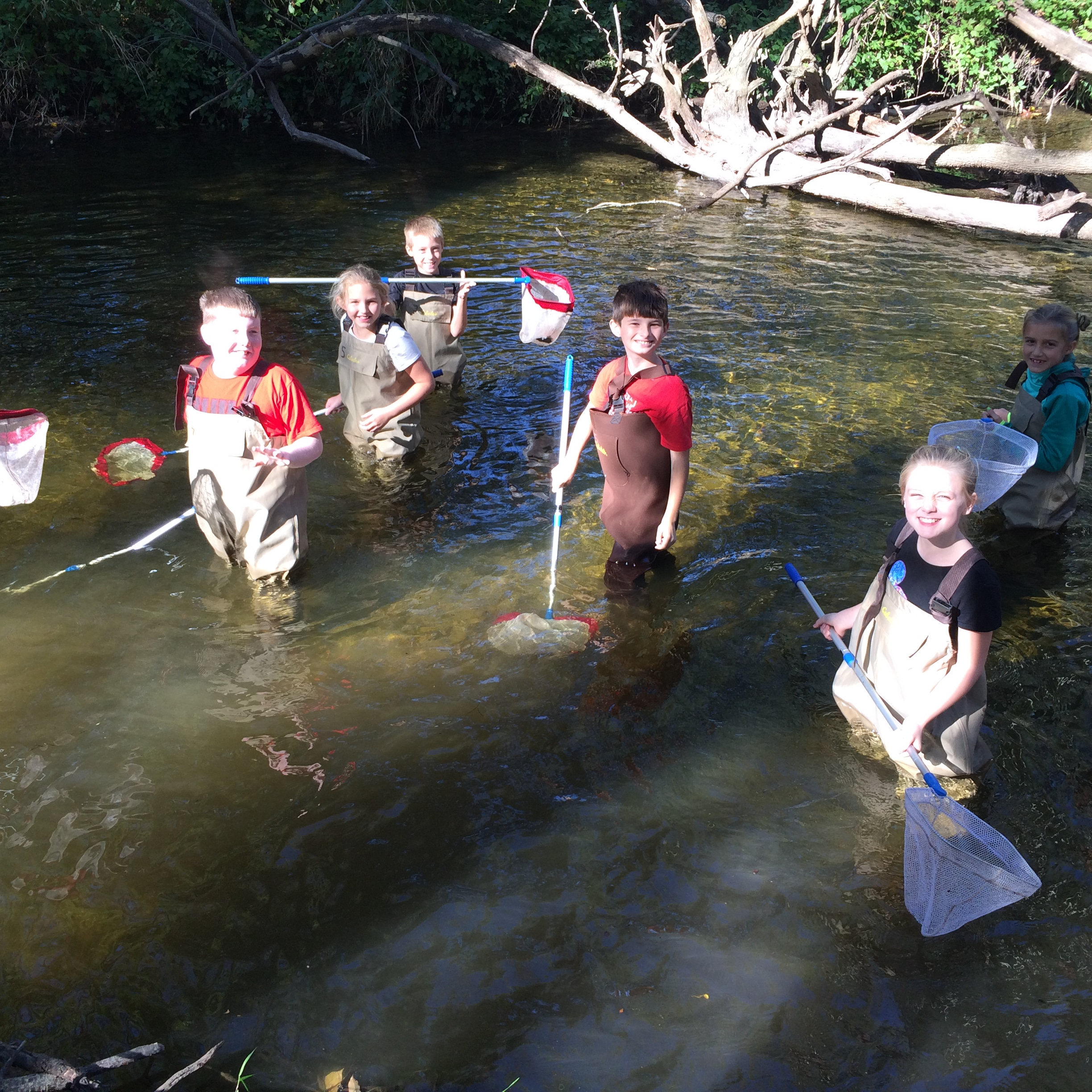 Students in a creek with net catchers