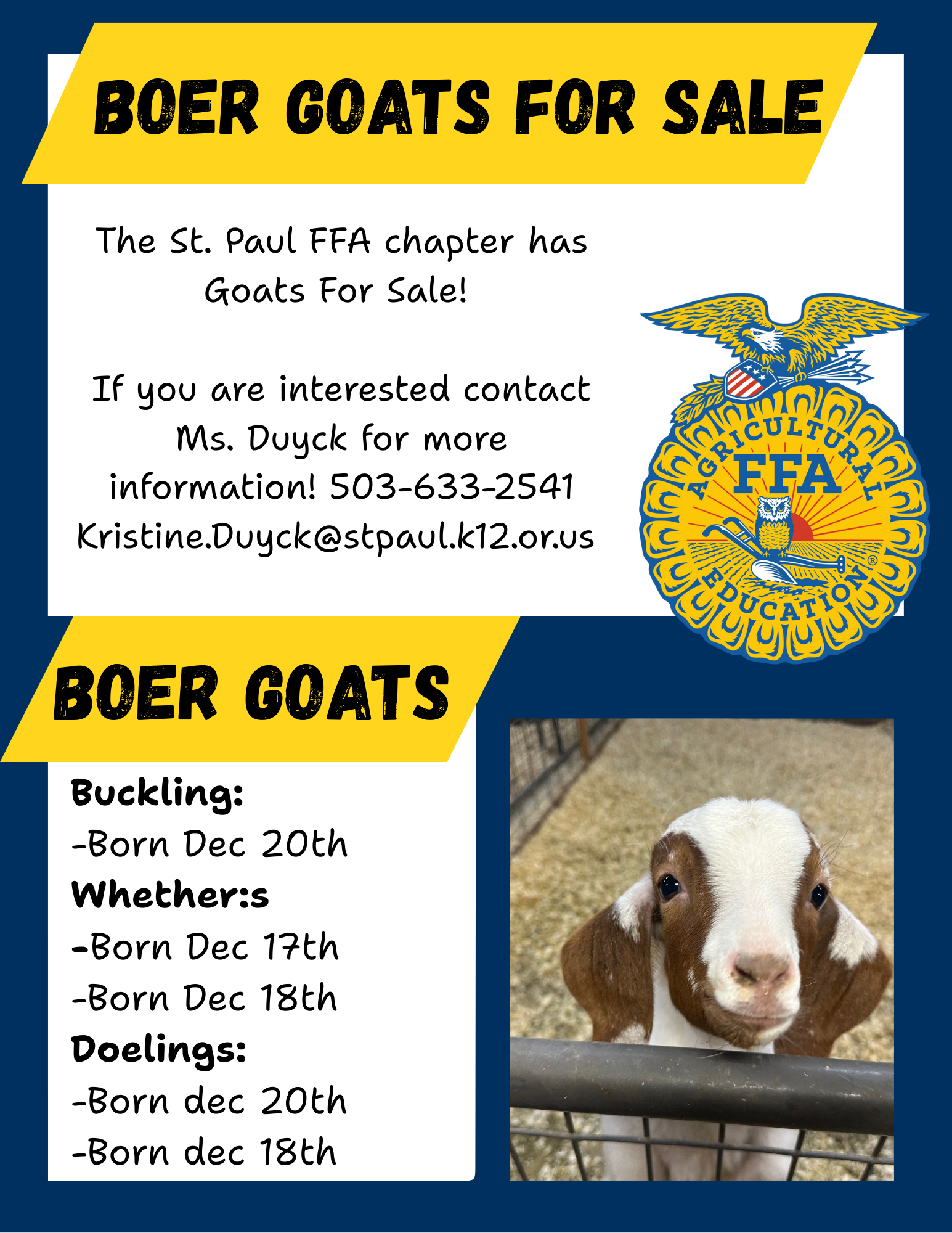 Boer goat sale