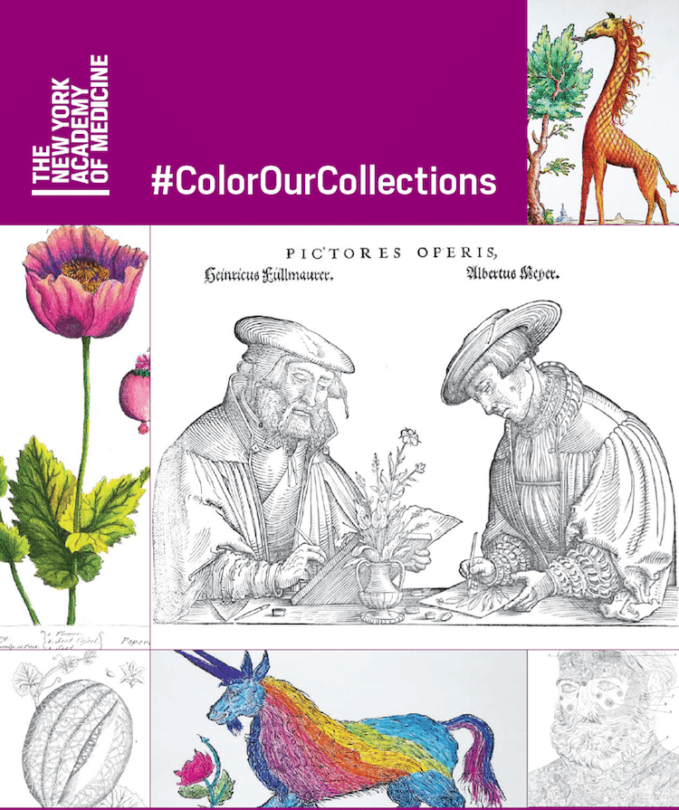color our collections