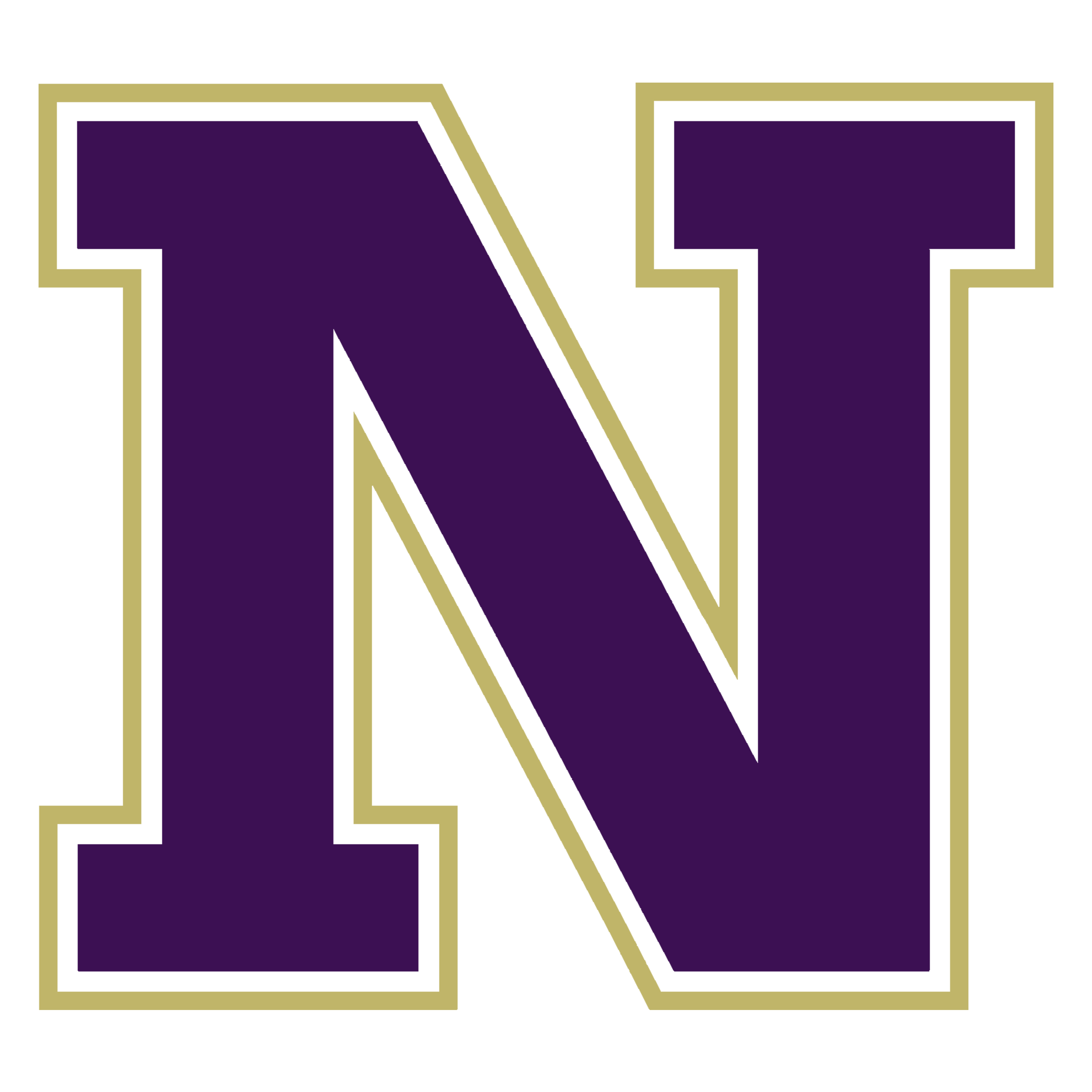 Navarro N logo