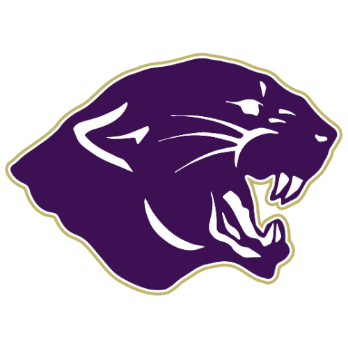 Panther Head