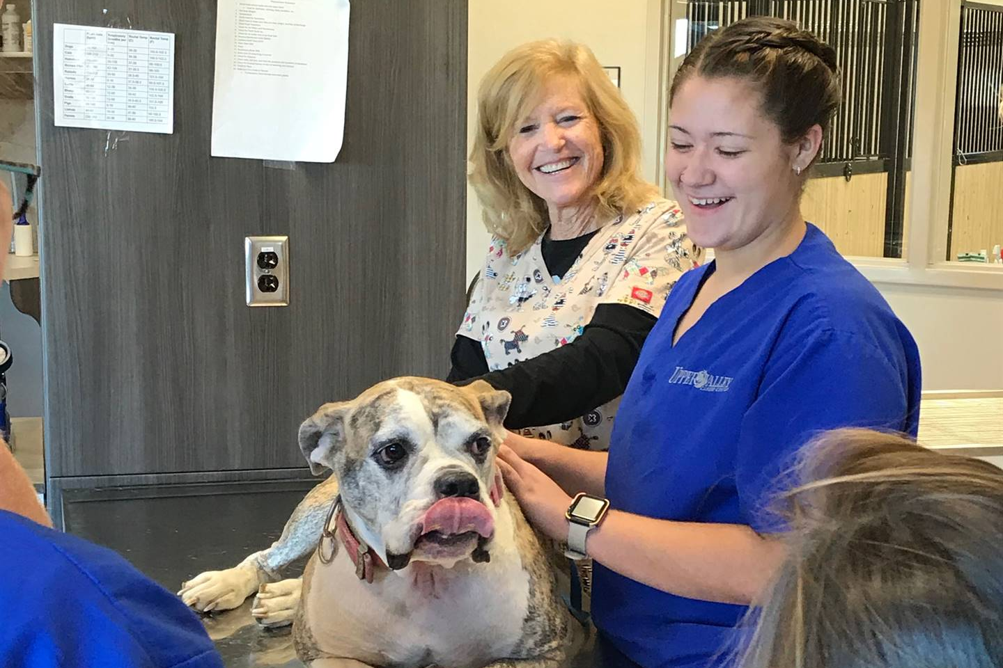 Student smiling at a dog on the table