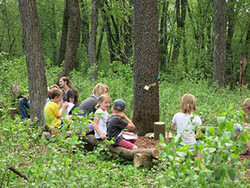 A photo of a group of kids all gathered together in the forest