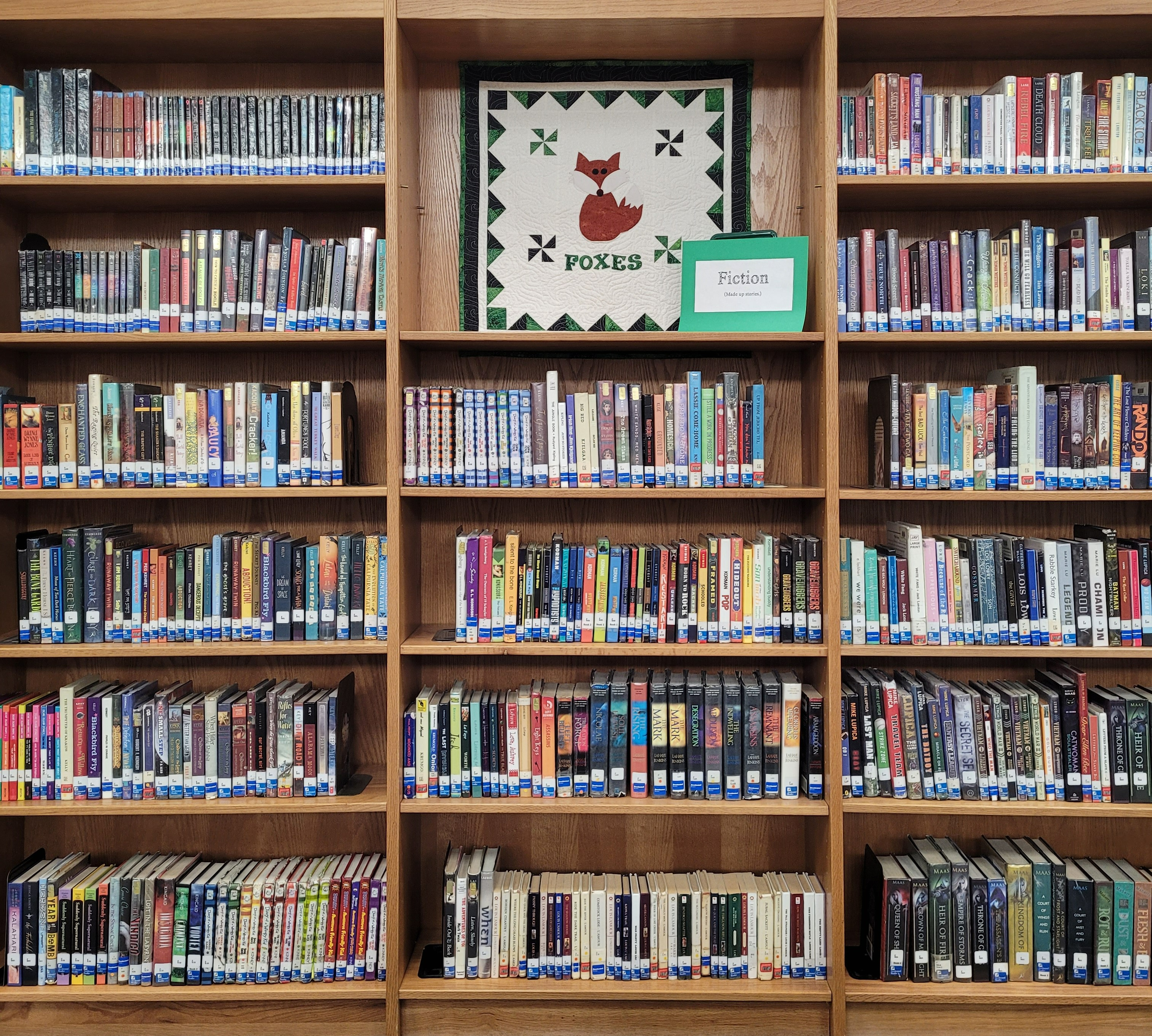 Photo of Mills Middle School Library
