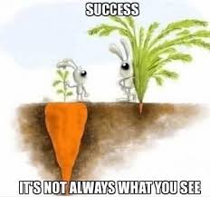 success is not always what you see