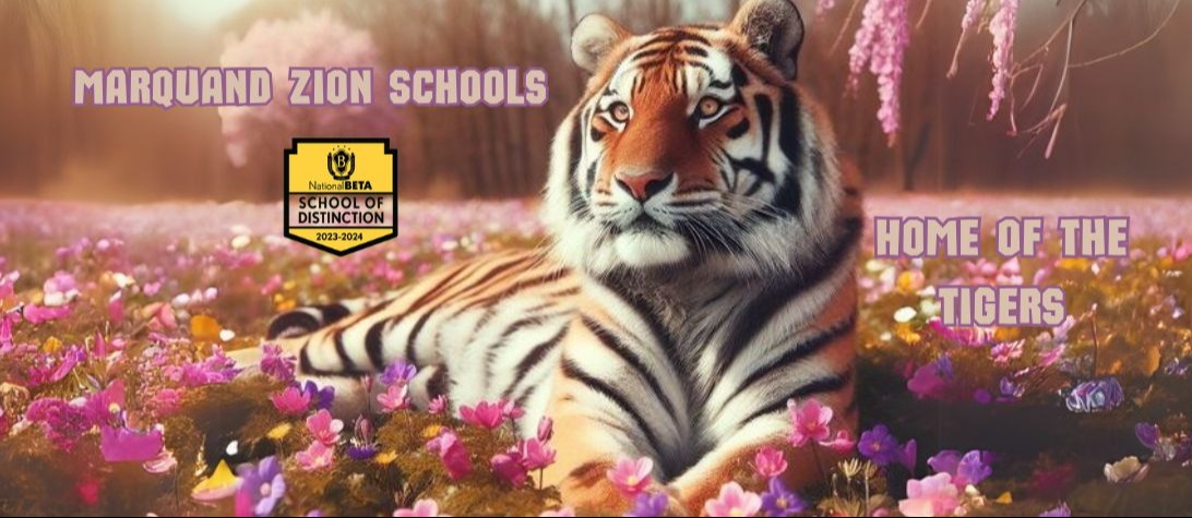 Tiger Schools