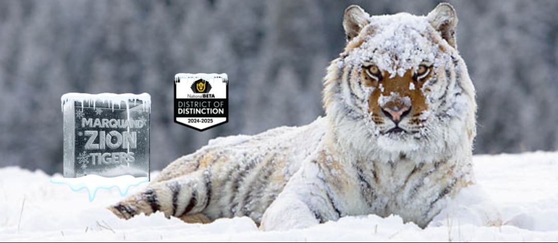 Marquand Zion Schools